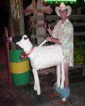 ridiculeces - La degeneraci�n al limite con las ovejas inchables