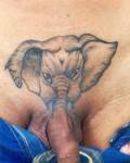 animales - Tengo el pito de grande como la trompa de un elefante