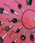 parodias - Espermatozoides fecundando al �vulo en la automoci�n